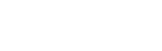 fmg_soft